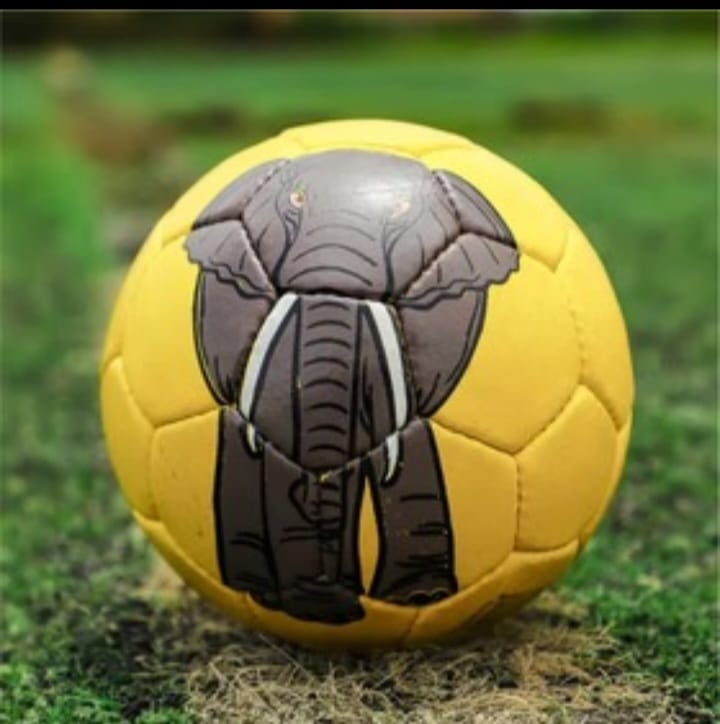 Football Size 5 Animal ball 